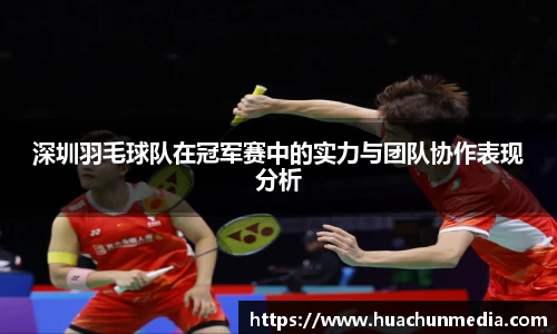 深圳羽毛球队在冠军赛中的实力与团队协作表现分析